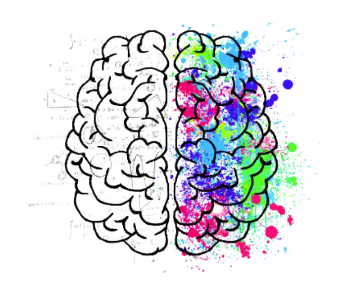 Logo des Tags der digitalen Freiheit zeigt Gehirn mit bunten Farbspritzern